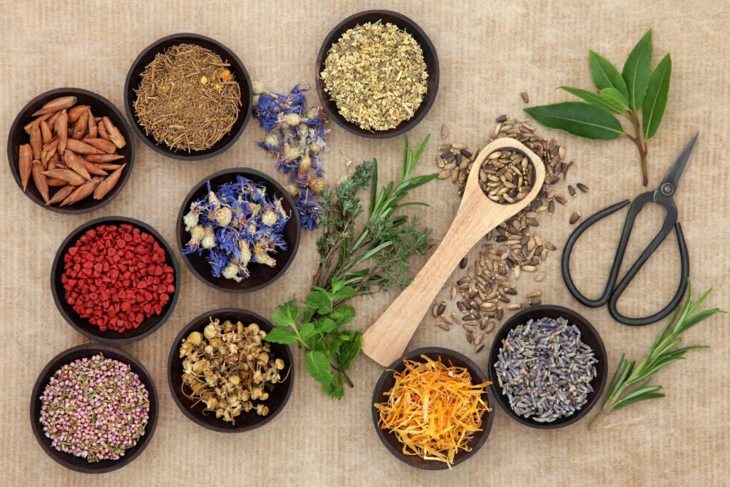 5-ways-naturopathy-can-help-you-the-urban-alchemist